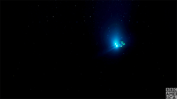 blue planet submarine GIF by BBC America