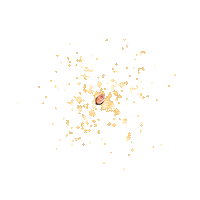 Sohyunland Sticker by Instagram Tag In Virtual GIF Booth