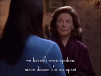 season 2 netflix GIF by Gilmore Girls 