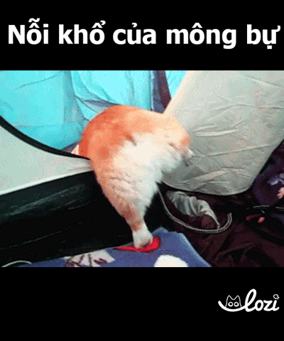 duong-gif30 GIF by Lozi Singapore Co.
