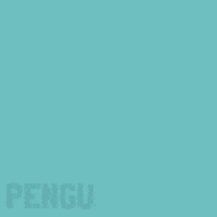 Penguin Flying GIF by Pudgy Penguins