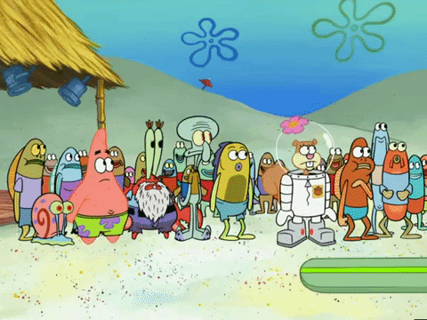 season 6 GIF by SpongeBob SquarePants