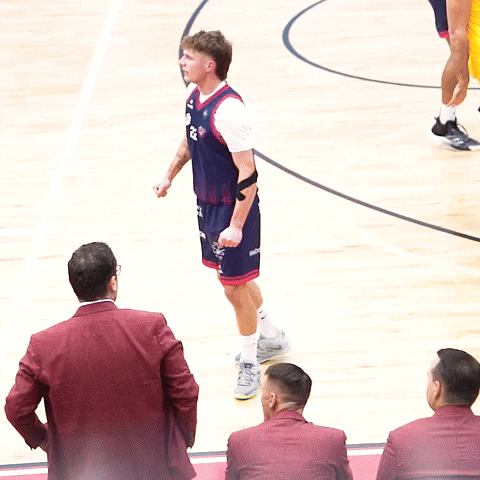 Celebrate Lets Go GIF by Bristol Flyers