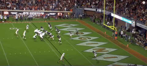 canesport giphyupload GIF