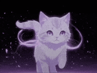 Kedi GIF