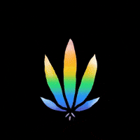 Weed Love GIF