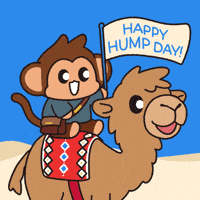 Wednesday Morning GIF by Chimpers