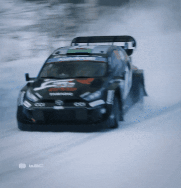 Rallying Rally Sweden GIF by FIA World Rally Championship