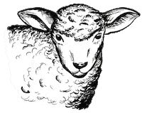 Schnauze-und-company wurst fleisch lamm schnauze und company Sticker