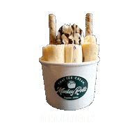 ice chile Sticker by Monkey Rolls