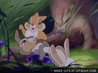 twitter GIF