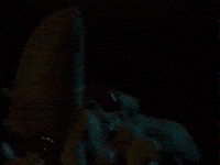 bastianbyrd lio bastianbyrd liolavraie lebananasplit GIF