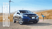 gosmallgetbig GIF by Central Valley Honda Dealers