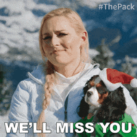 The Pack Dogs GIF by Amazon Prime Video