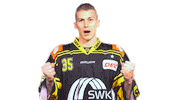 Dance Mike Sticker by Krefeld Pinguine