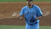 Blue Jays Applause GIF by Toronto Blue Jays