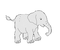 Baby Elephant Sticker by Lieblings-Stück