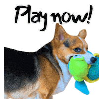 Kids Play Sticker