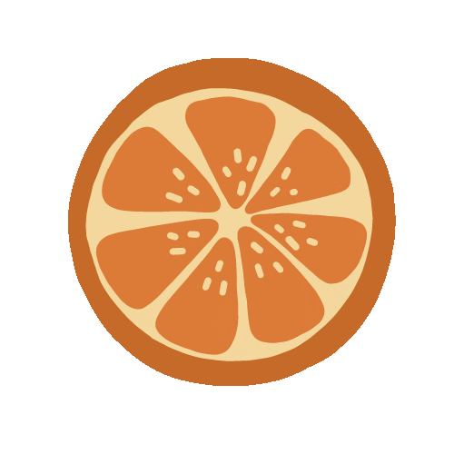Christmas Orange Sticker by Camif