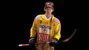 Hockey Ice GIF by Vienna Capitals