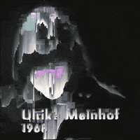 Raf Glitch Aesthetic GIF by Nico Roxe