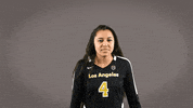 Volleyball Calstatela GIF by Cal State LA Golden Eagles