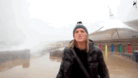 face weather GIF