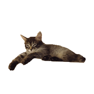 lazy STICKER by imoji
