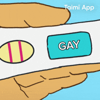 Gay GIF by Taimi