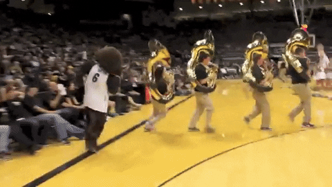 basketball band GIF by CUBoulder