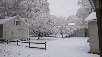 'Big Flakes' Fall on North Central New York