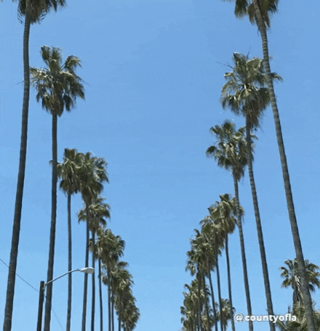 CountyofLA sky la los angeles hollywood GIF