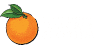 Florida Sticker by Disney Springs