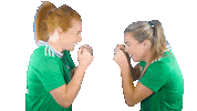 Irish Football Fighting Sticker by Northern Ireland