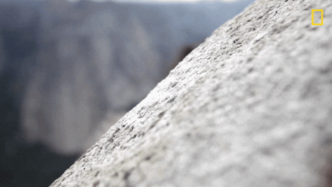 Pull Up Nat Geo GIF by National Geographic Channel