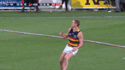 adelaidecrows goal reactions celebrations adelaide crows GIF