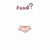flanthefeline cat food kitty kitten GIF