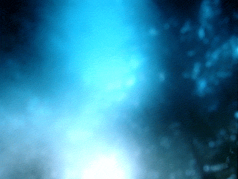 GIF by Jaime Martinez