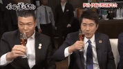 japanese tv japan GIF