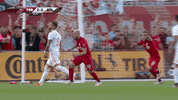 happy soccer GIF by Toronto FC