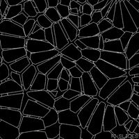 black and white loop GIF by Pi-Slices