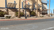 volkswagen vw GIF by Off The Jacks