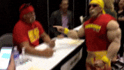 JoelXero1 wwe wrestling handshake hulk GIF