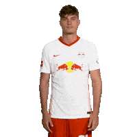 Posing Line Up Sticker by Bundesliga