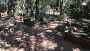 Business School Florida GIF by UF Warrington College of Business