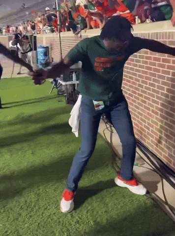 Belt Bta GIF