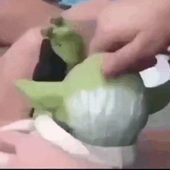 happy GIF