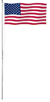 American Flag Usa Sticker by SHEDEVR