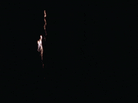 Celebrate Independence Day GIF by US National Archives