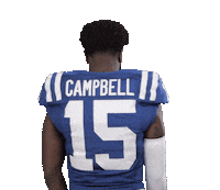 Turn Around Football Sticker by NFL